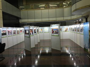 深圳展板出租规格及专业展览服务指南