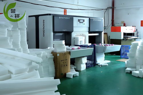 中山誉祥包装工厂实景展示 创新展览服务引领行业新体验